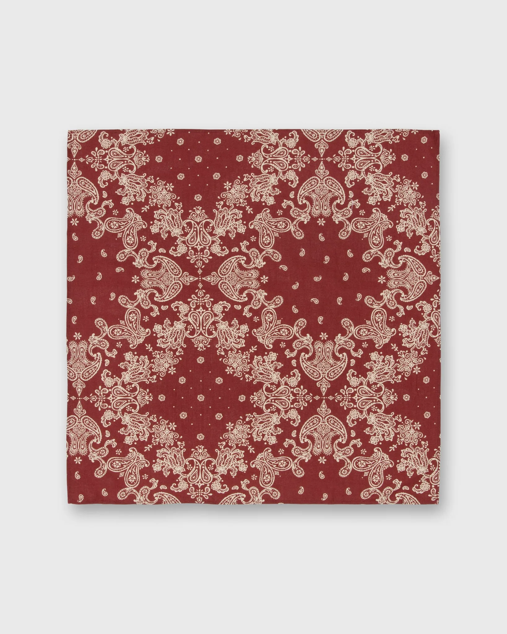 Bandana in Red Paisley