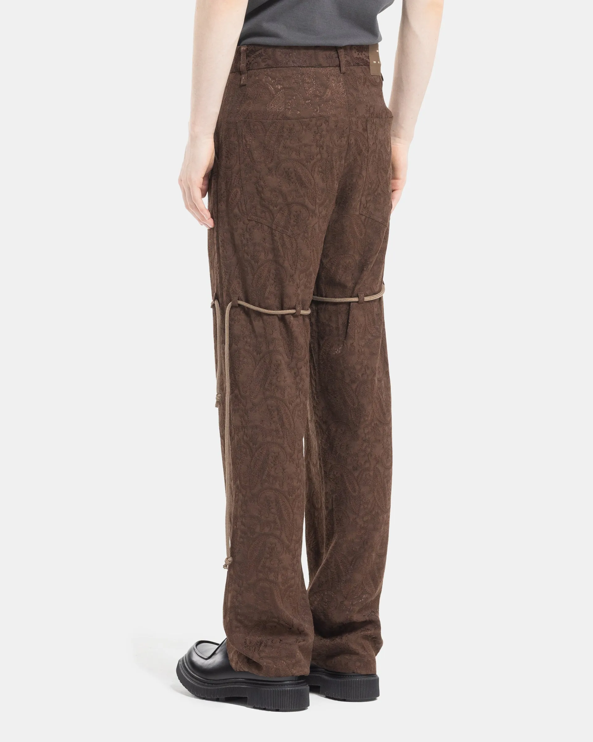 Dress Pants in Brown